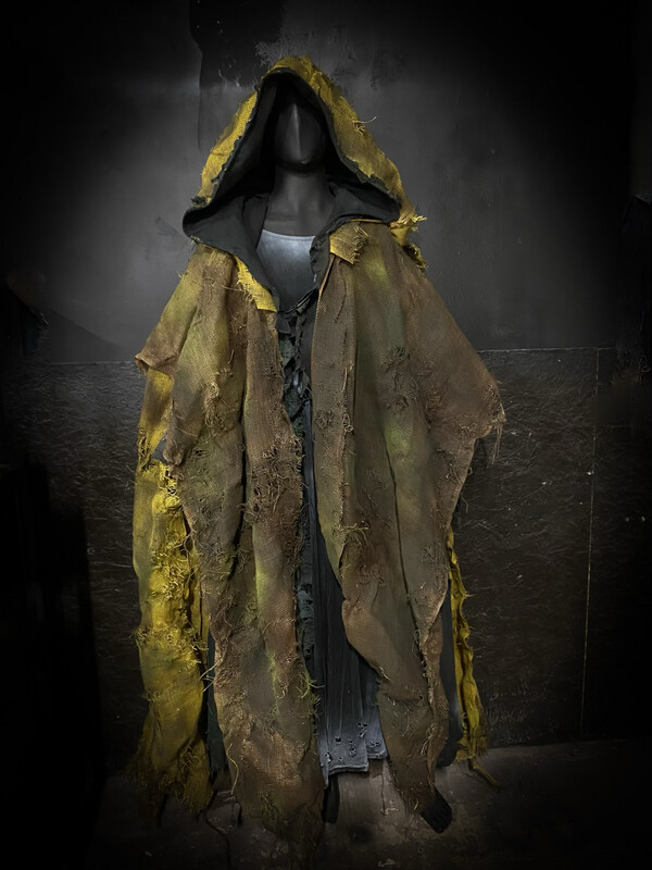 Swamp Witch Costume