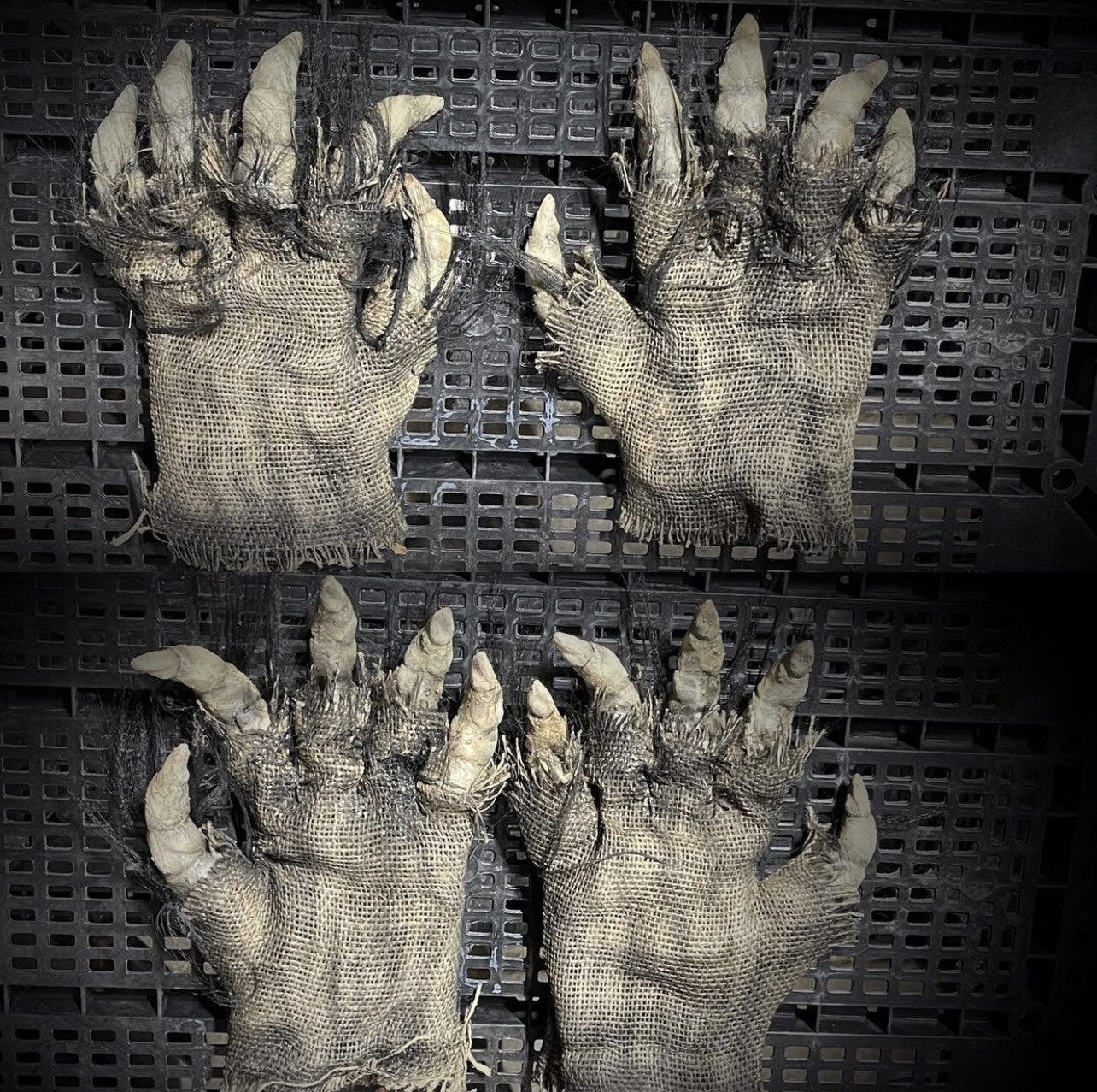 Werewolf Gloves XL