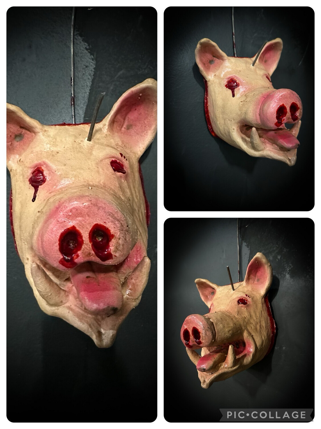 Mini Pig Head