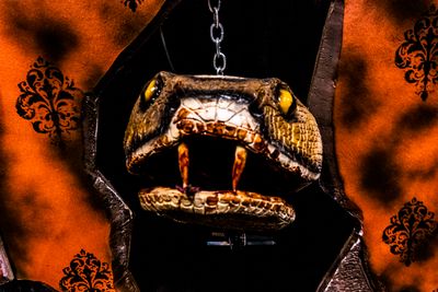 Snake Mini Chomper