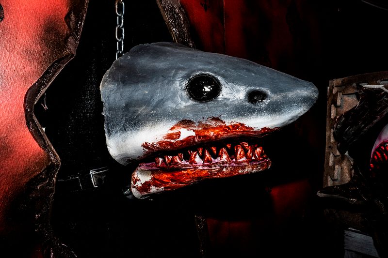 Shark Mini Chomper