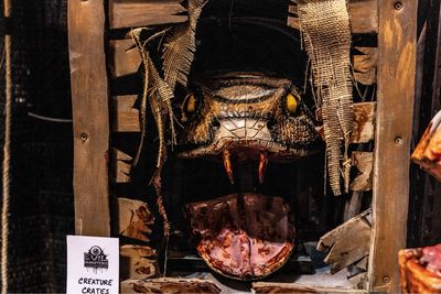 Creature Crate - Snake
