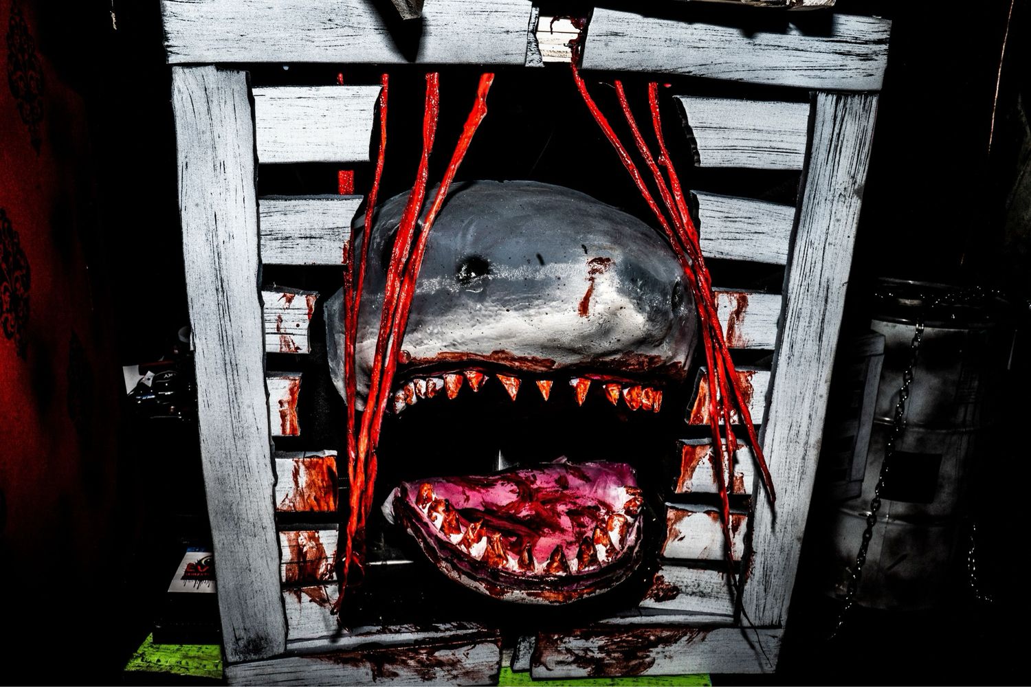 Creature Crate - Shark