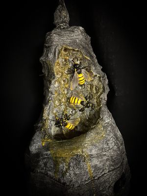 Hanging Beehive
