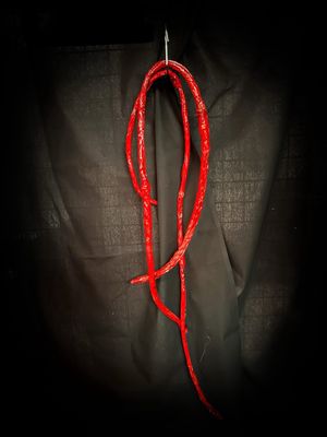 Hanging Intestine