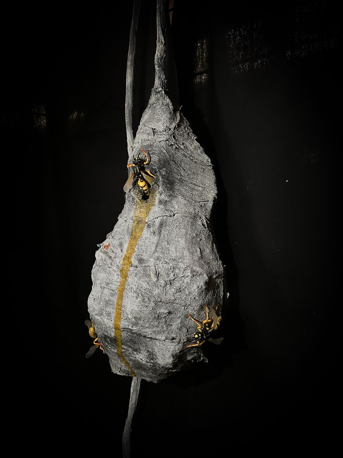 Hanging Full Beehive