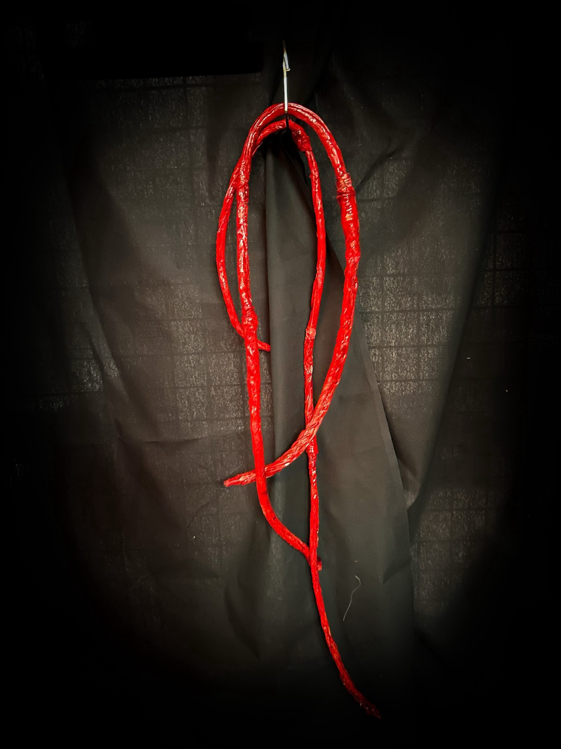 Hanging Intestine