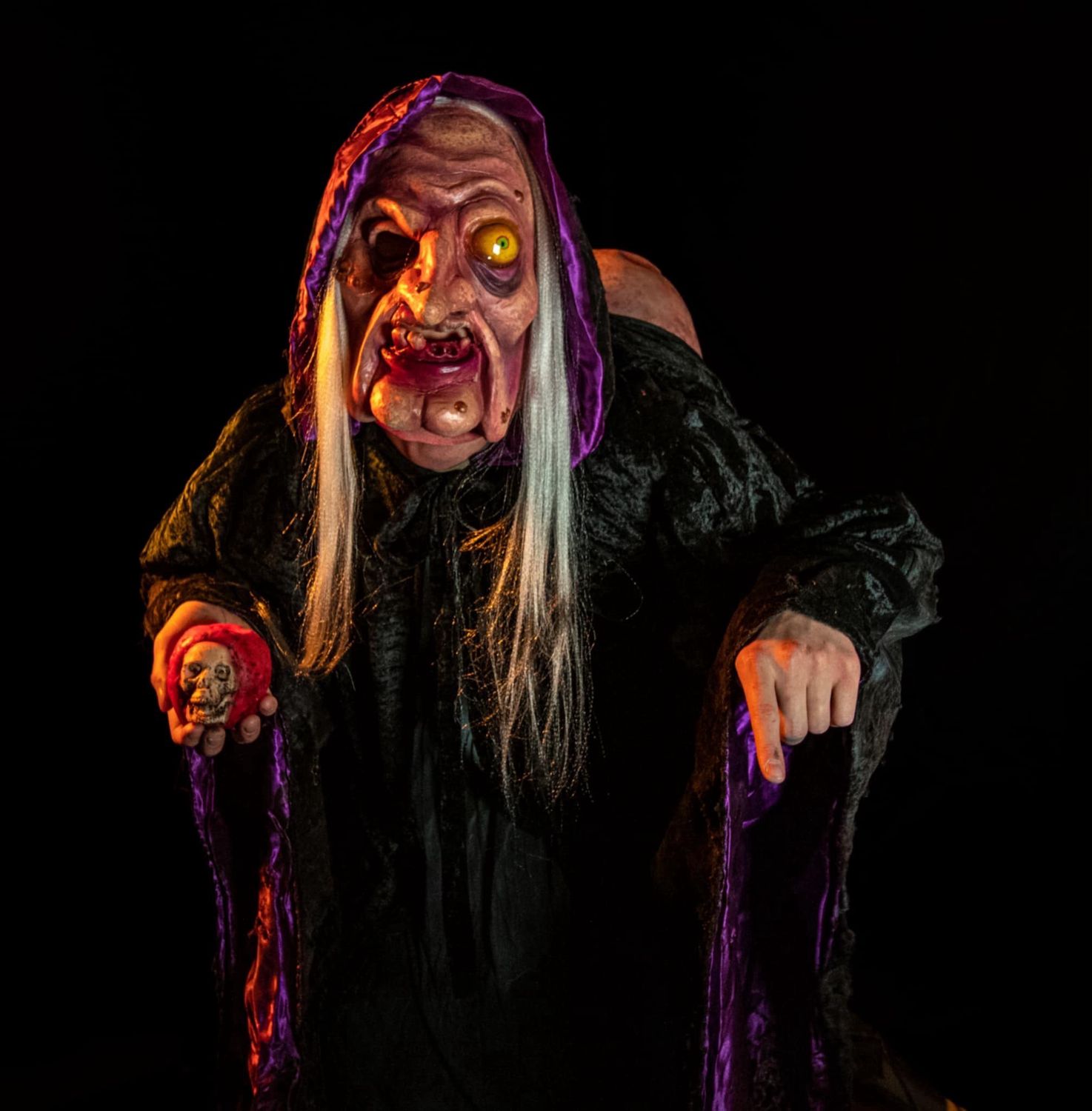 Evil Witch Mask