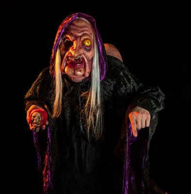 Evil Witch Mask