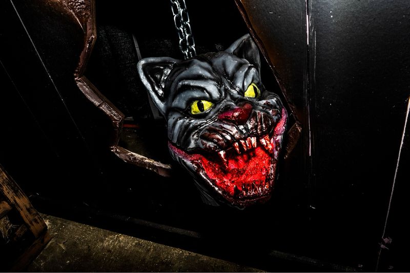 Cat Mini Chomper