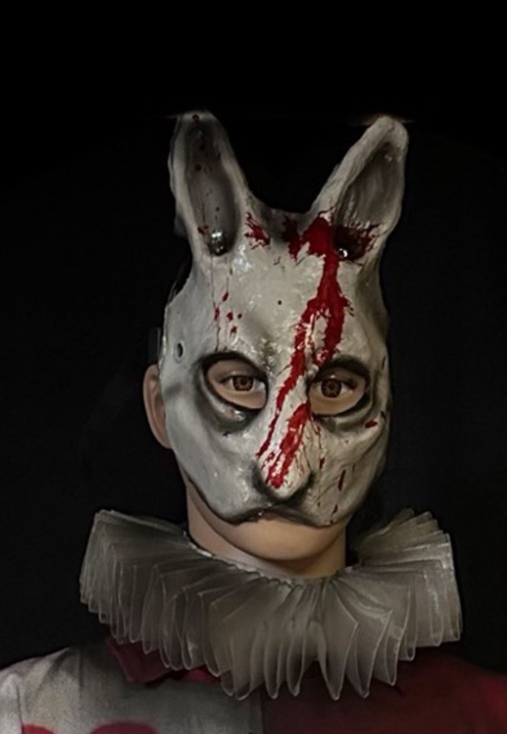 Trick Or Treater Rabbit W/Blood