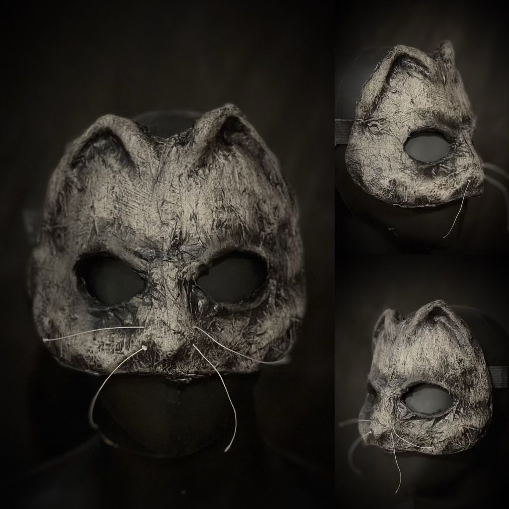 Trick or Treater Cat