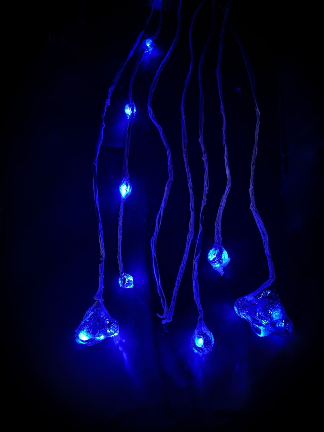 Spider Glow Vine