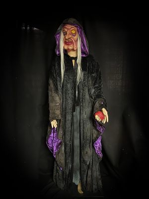 Evil Witch - Size Large