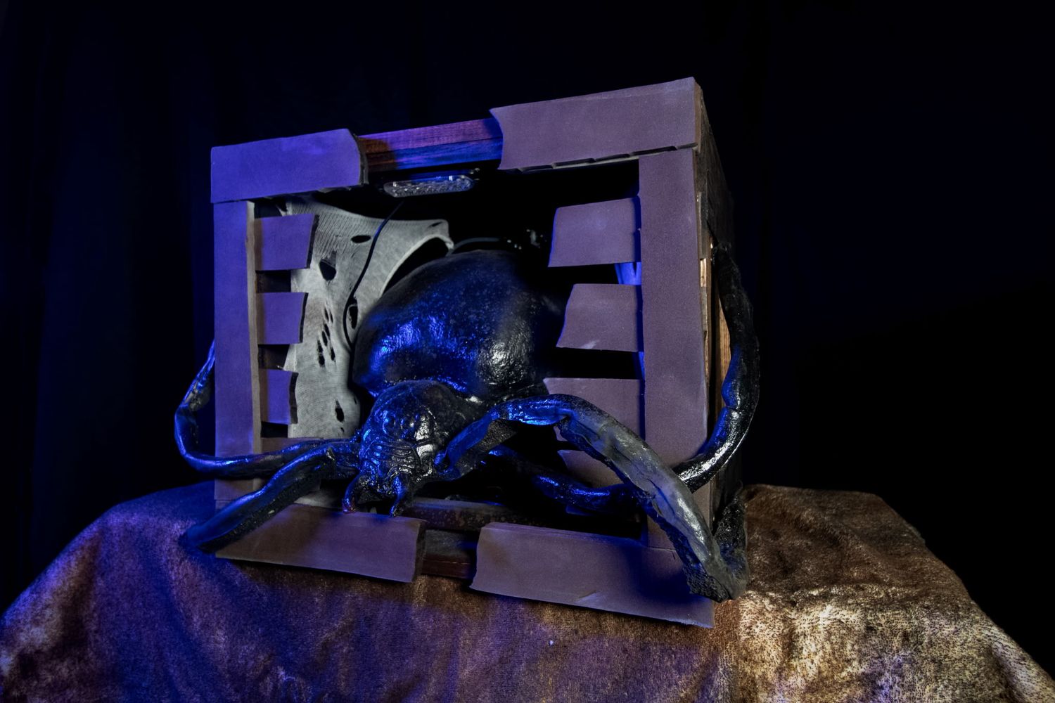 Creature Crate - Spider