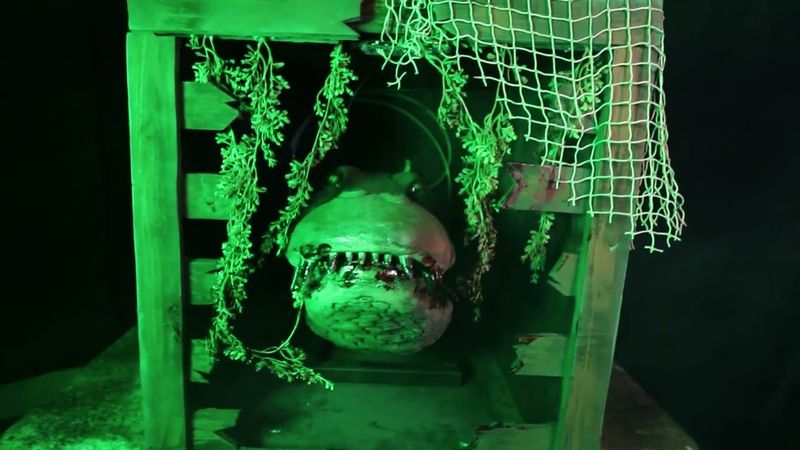 Creature Crate - Alligator
