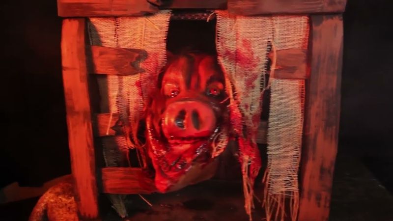 Creature Crate - Boar