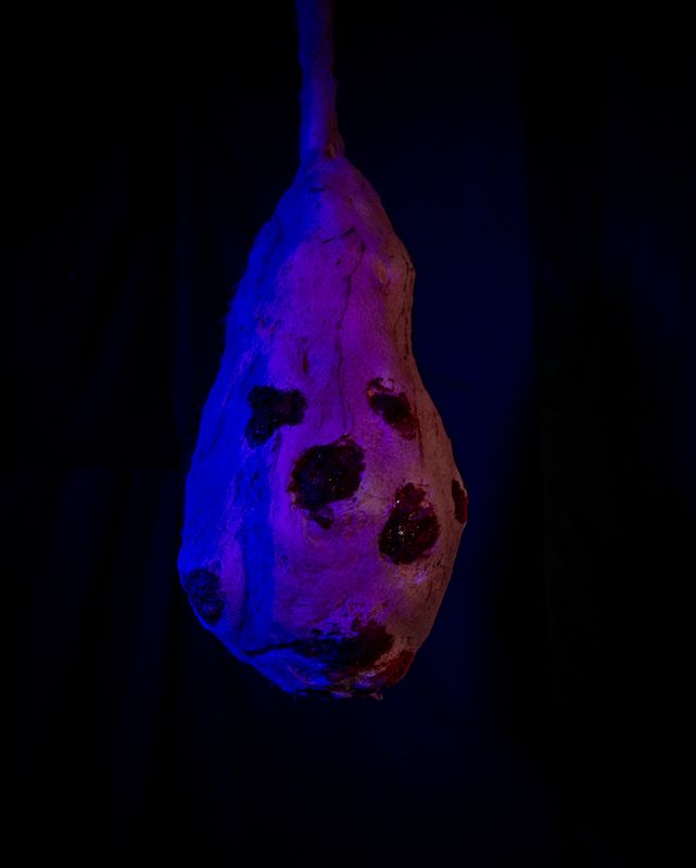 Cotton Candy Egg Sac