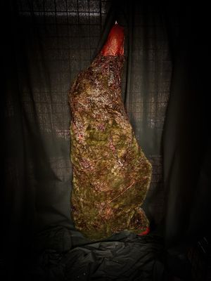 Butchered Deer