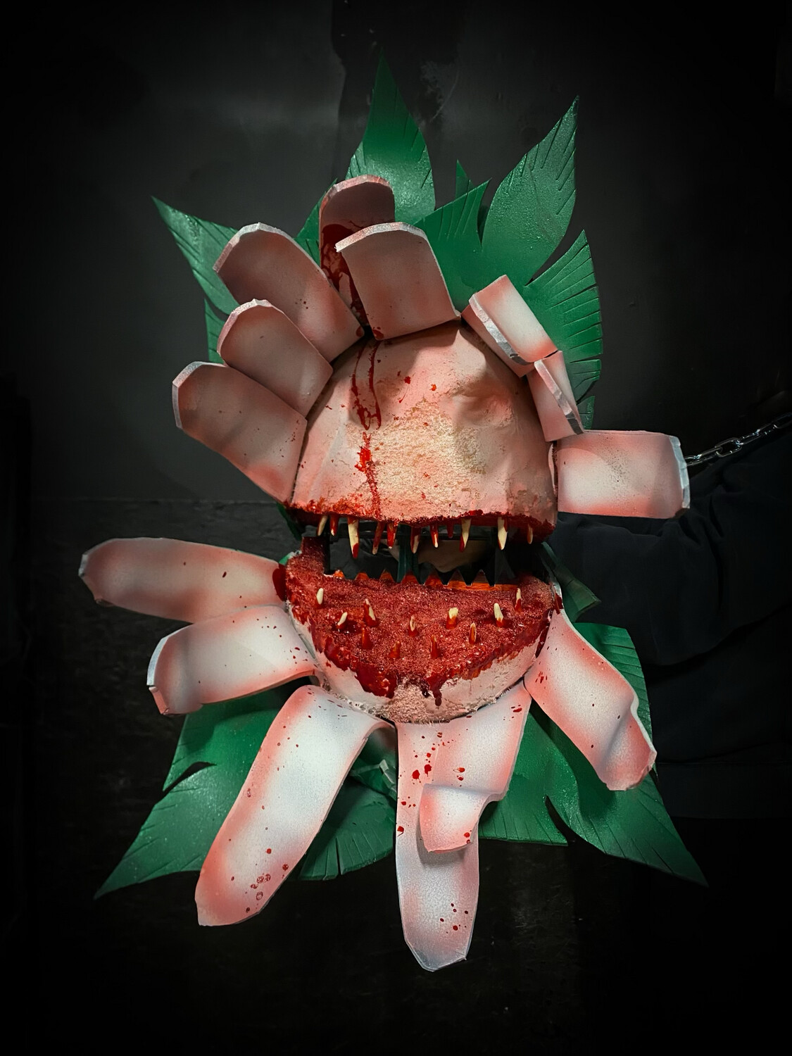 Blood Orchid Mini Chomper