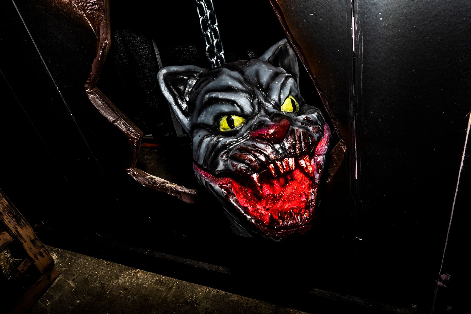 Cat Mini Chomper