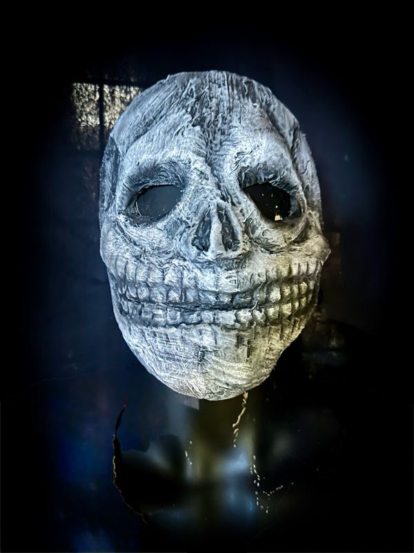 Trick Or Treater Skull