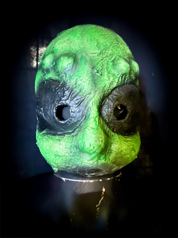 Trick Or Treater Alien