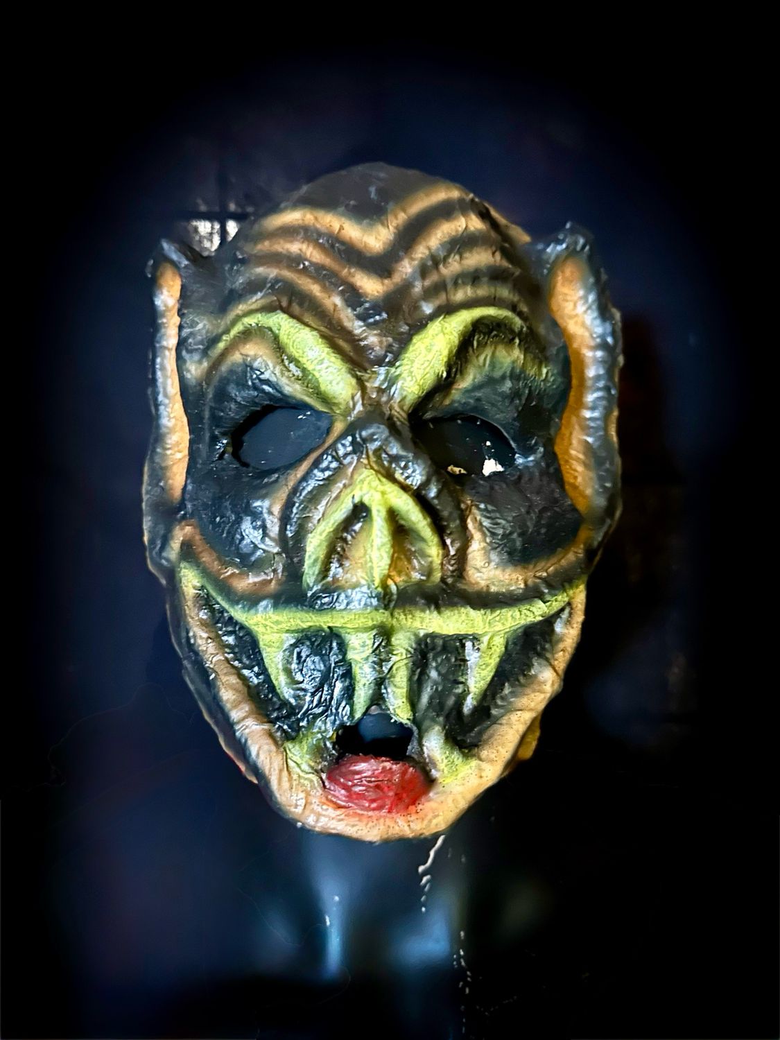 Trick Or Treater Bat