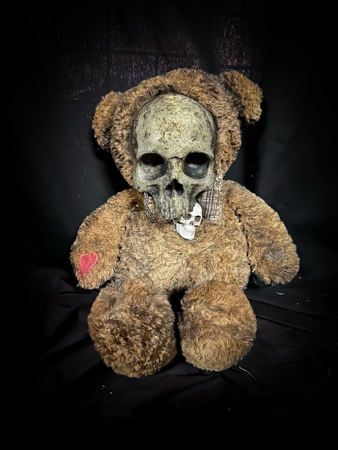 Skully Bear Hidden Horn