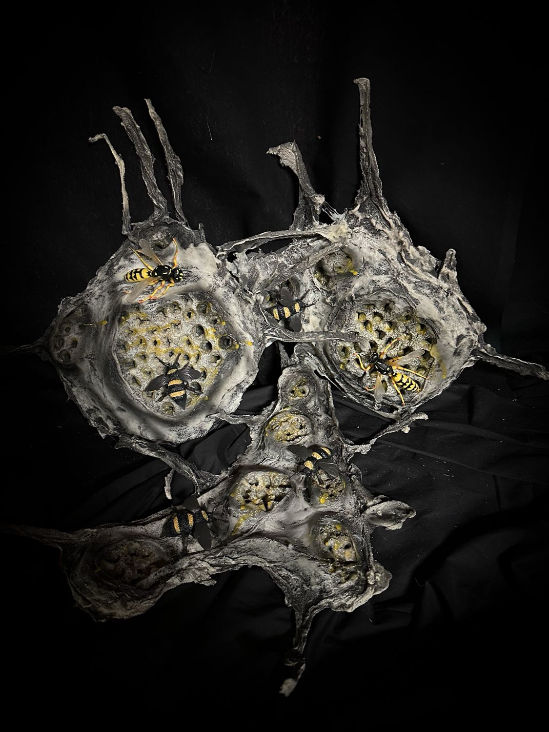 Mini Beehive Cluster