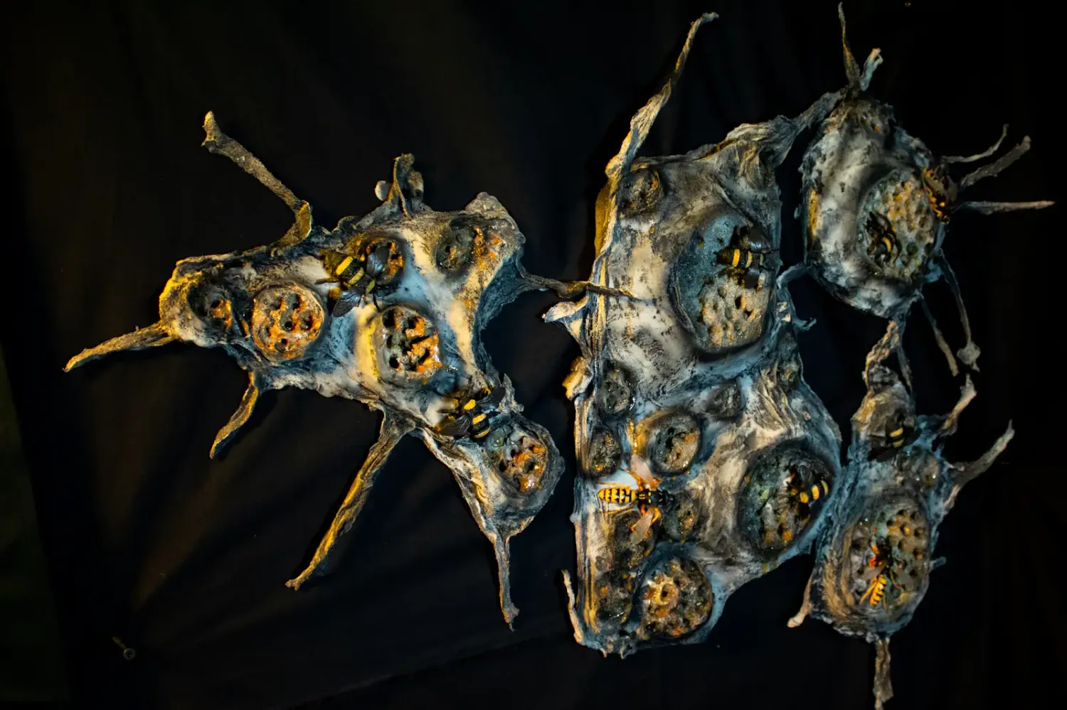 Mini Beehive Cluster