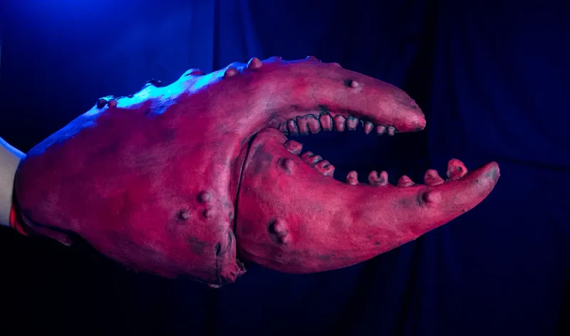 Crab Claw