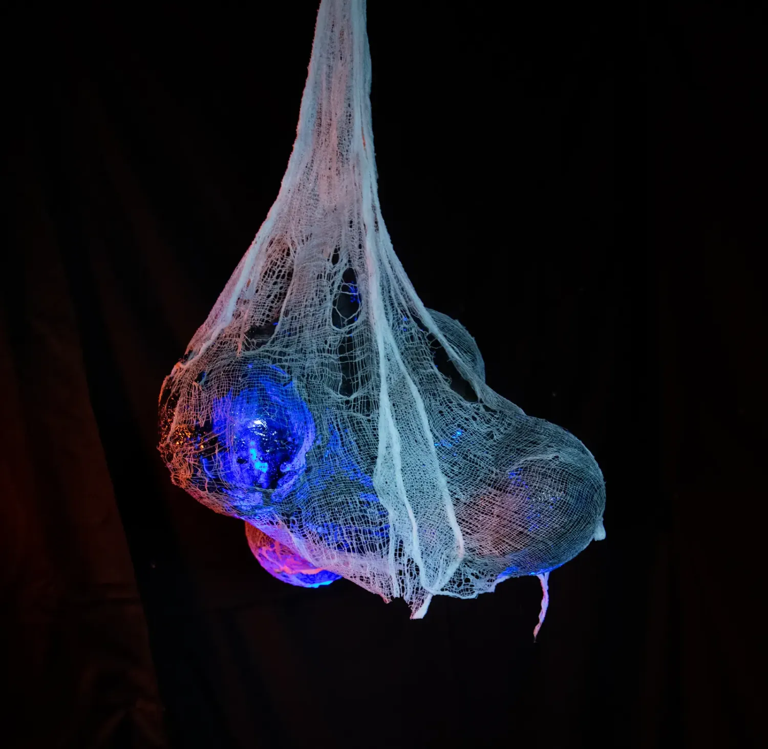 Spider Glow Egg Sac