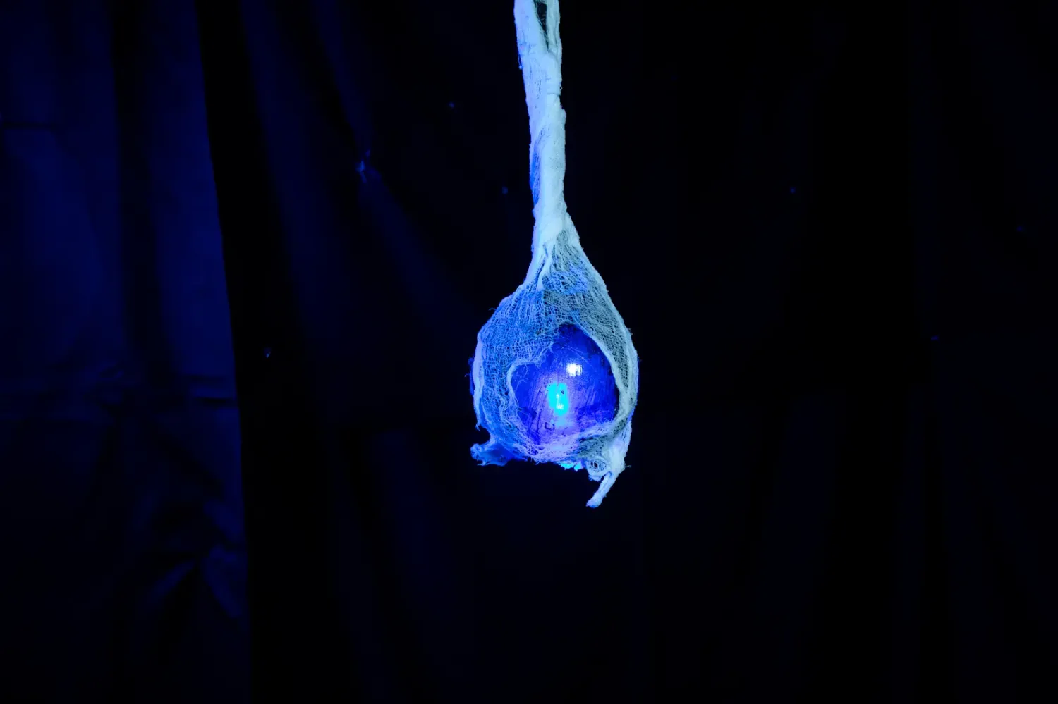 Spider Glow Egg