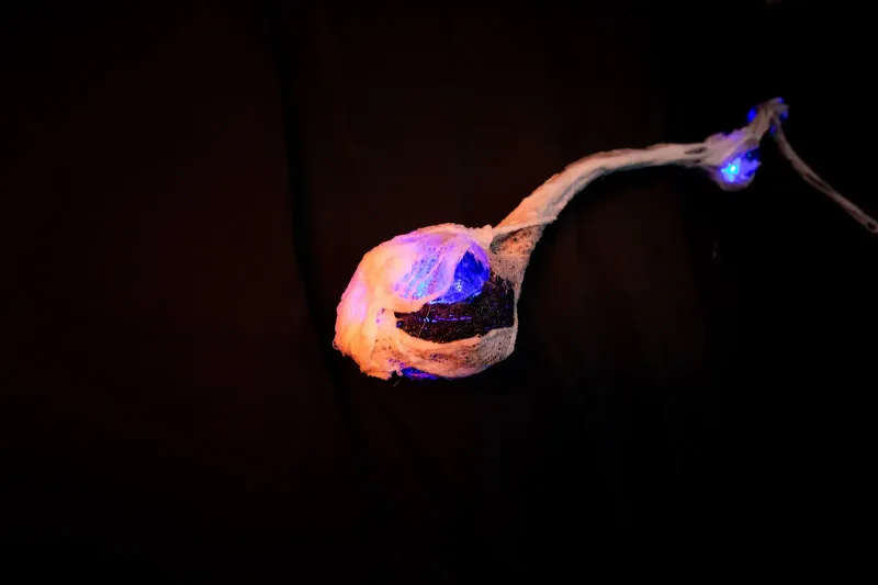 Spider Glow Vine