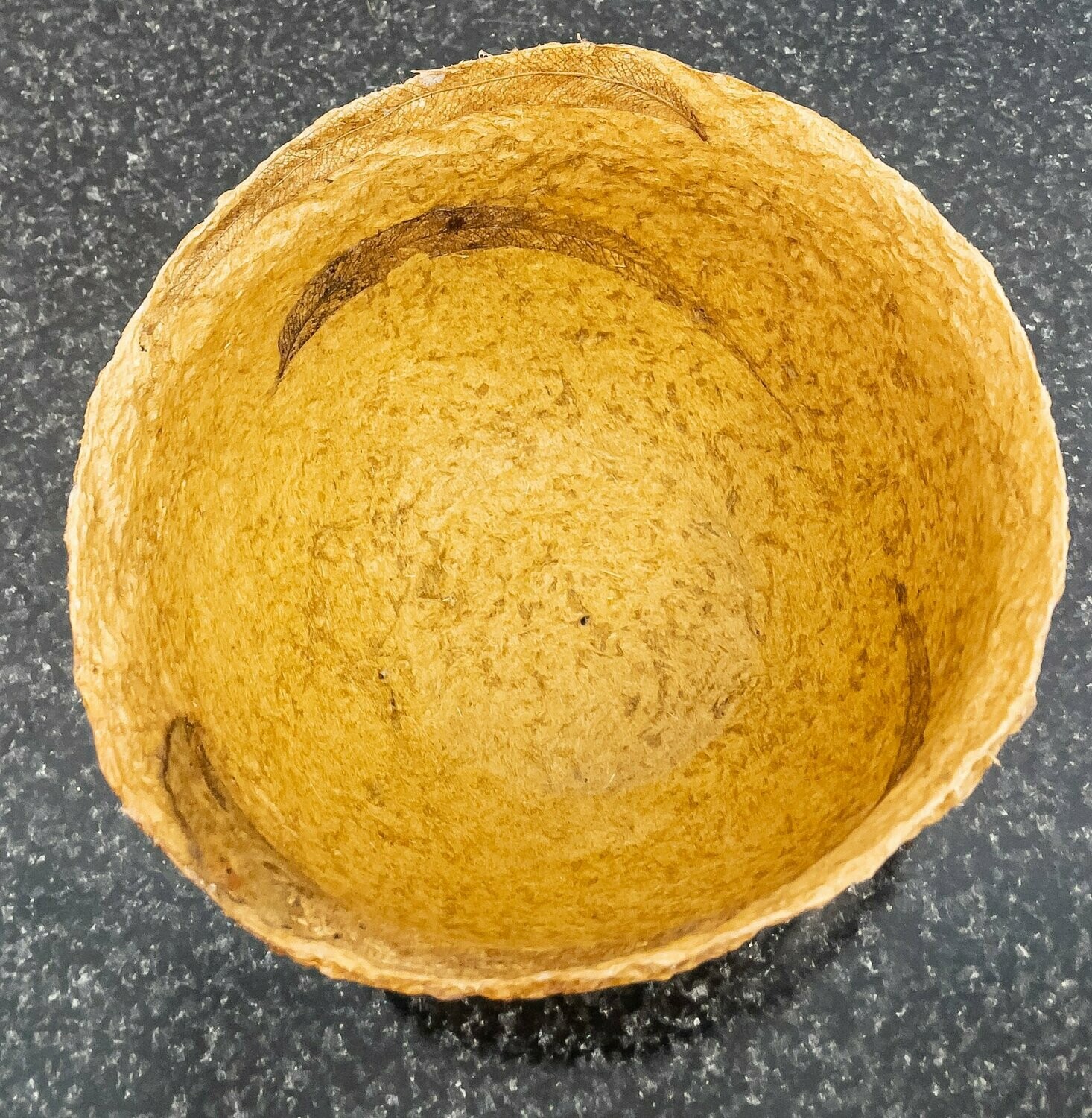 Small Gamba Grass Bowl