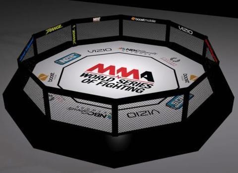 MMA Mixed Martial Arts Decagon without catwalk
