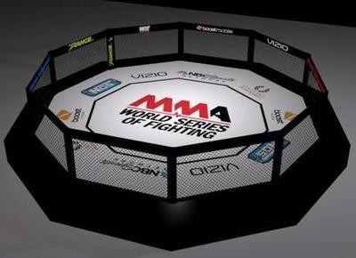 MMA Mixed Martial Arts Decagon without catwalk