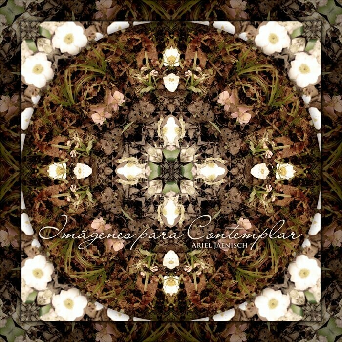 Serie "Fotográficos"