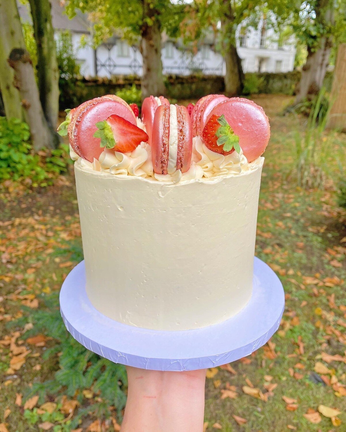 Strawberry Macaron Cake