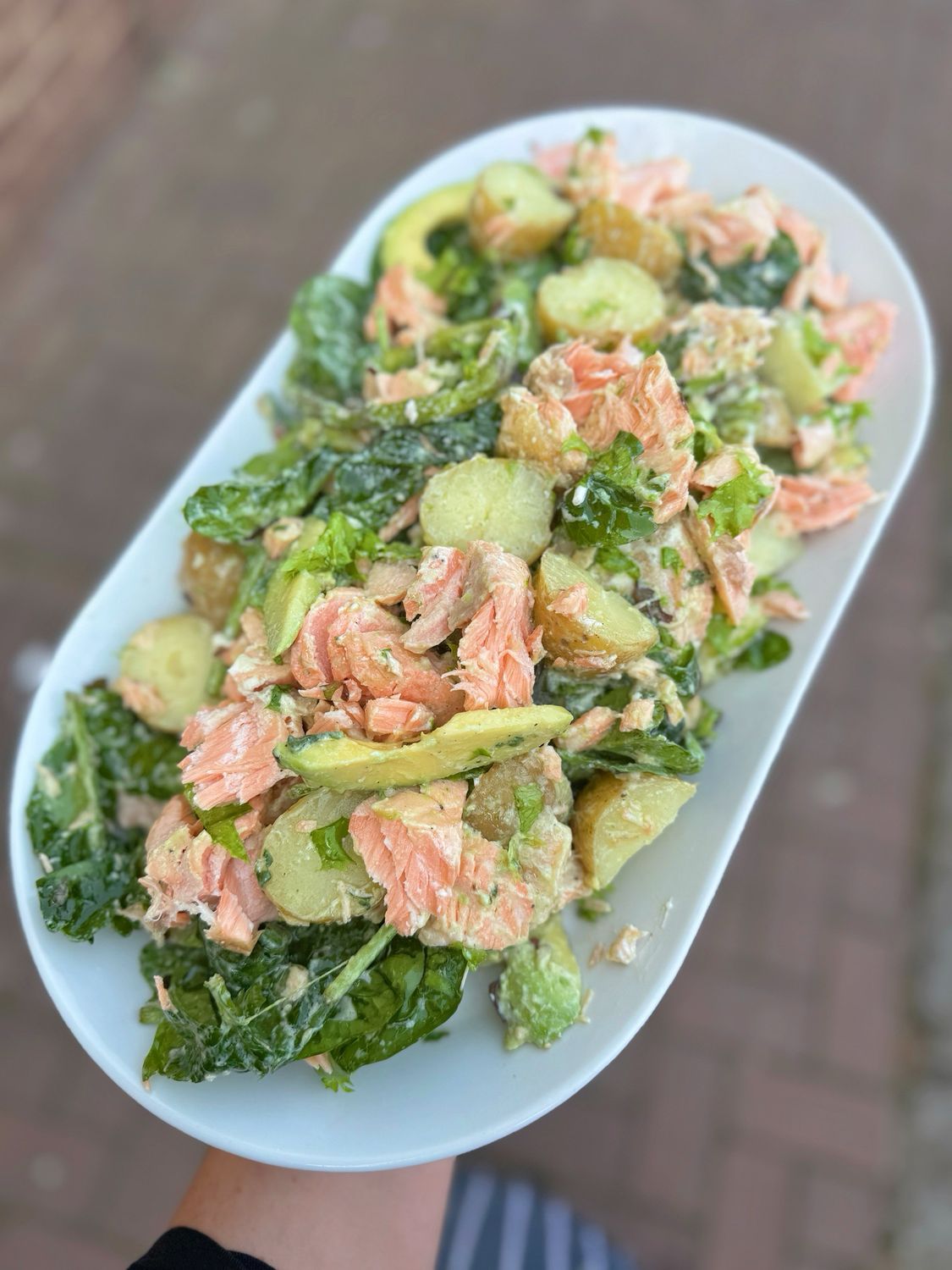 Salmon