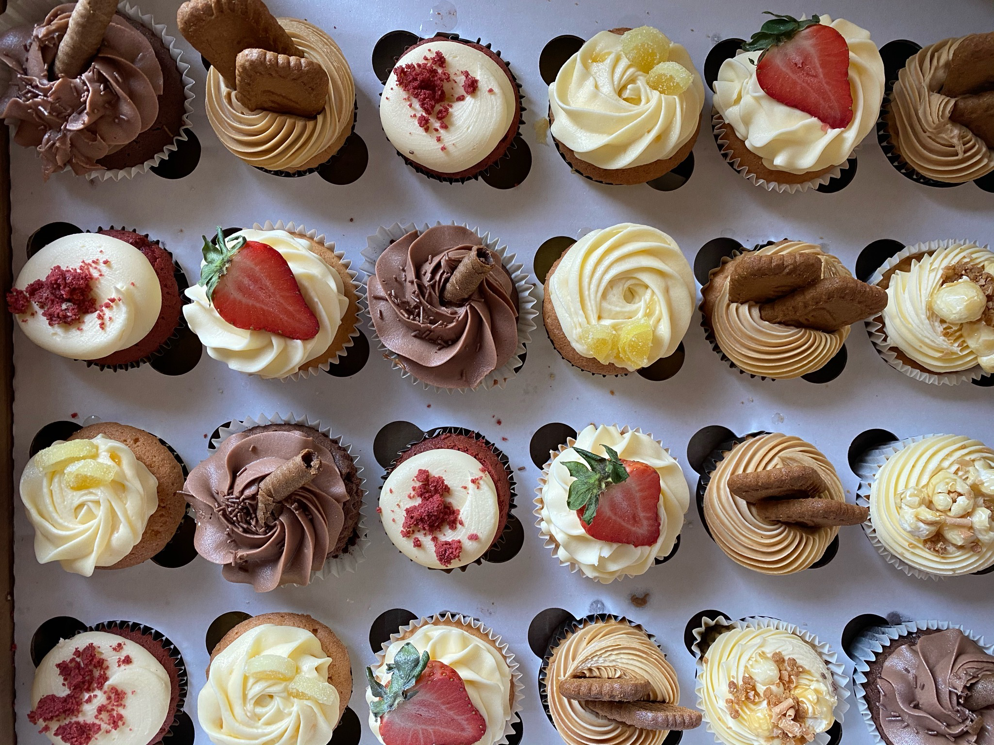 Mixed Cupcake Box