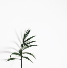 decor break down decor break down