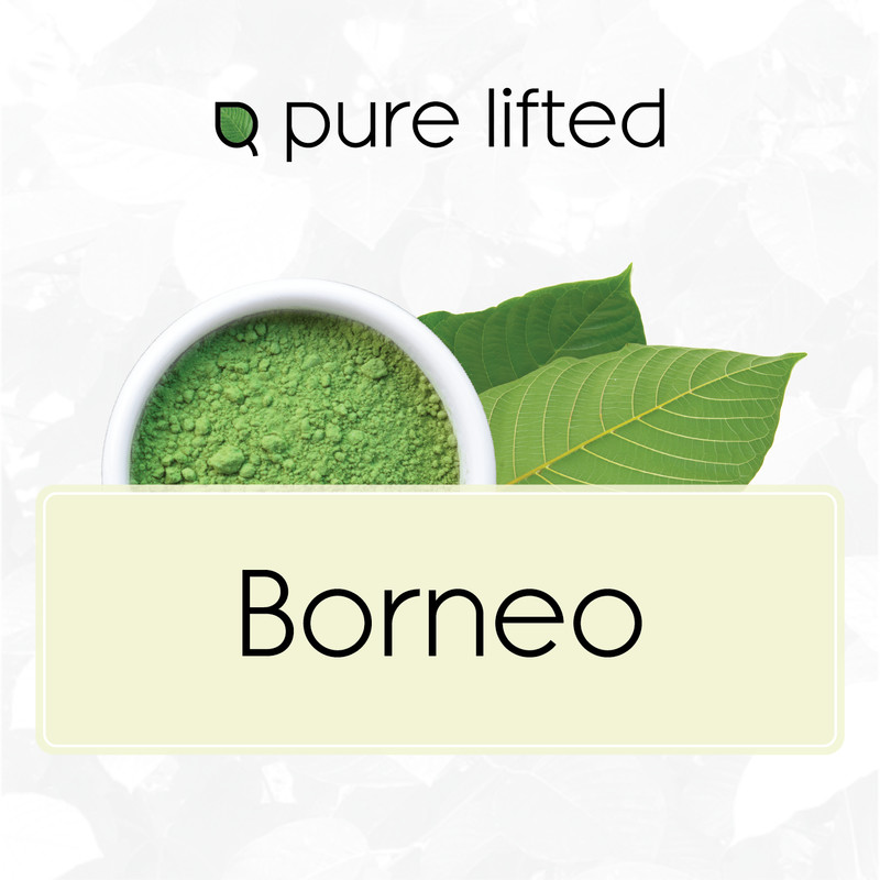 Borneo Strains (Kratom Powder)