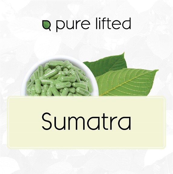 Sumatra Strains (Kratom Capsules)