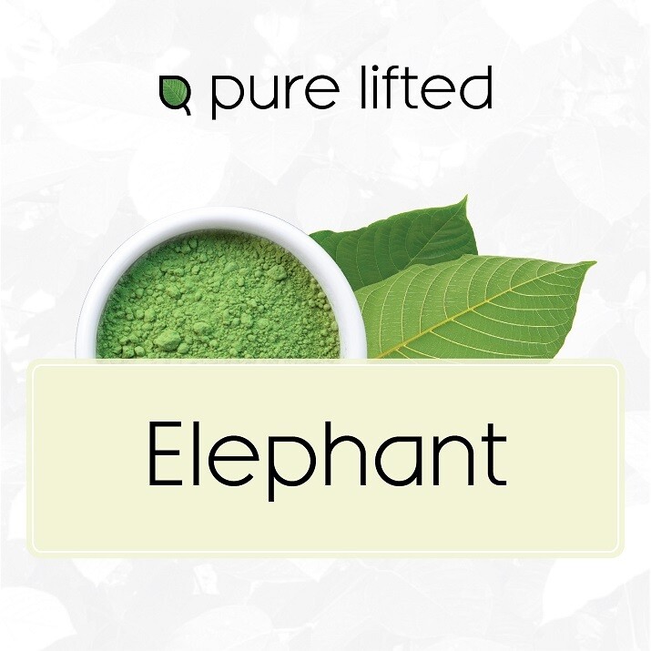 Elephant Strains (Kratom Powder)