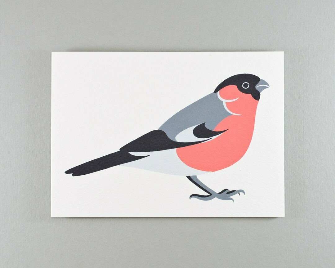 Bullfinch greeting card