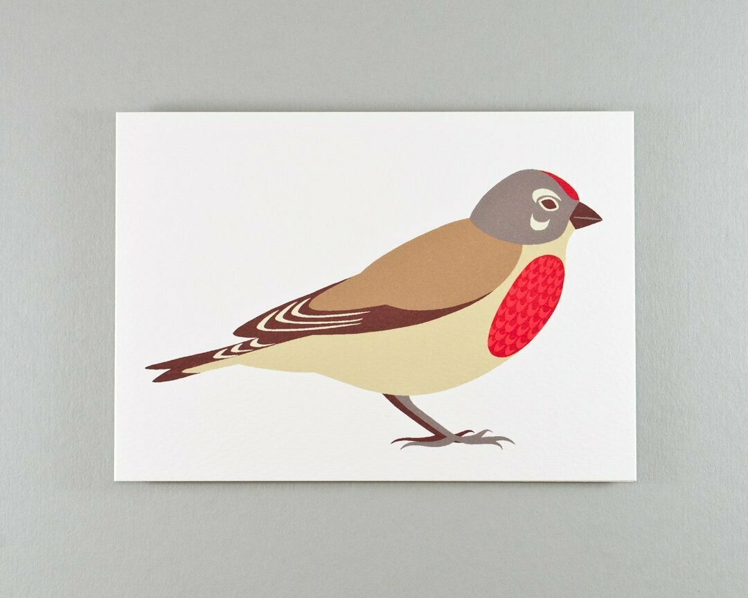 Linnet greeting card