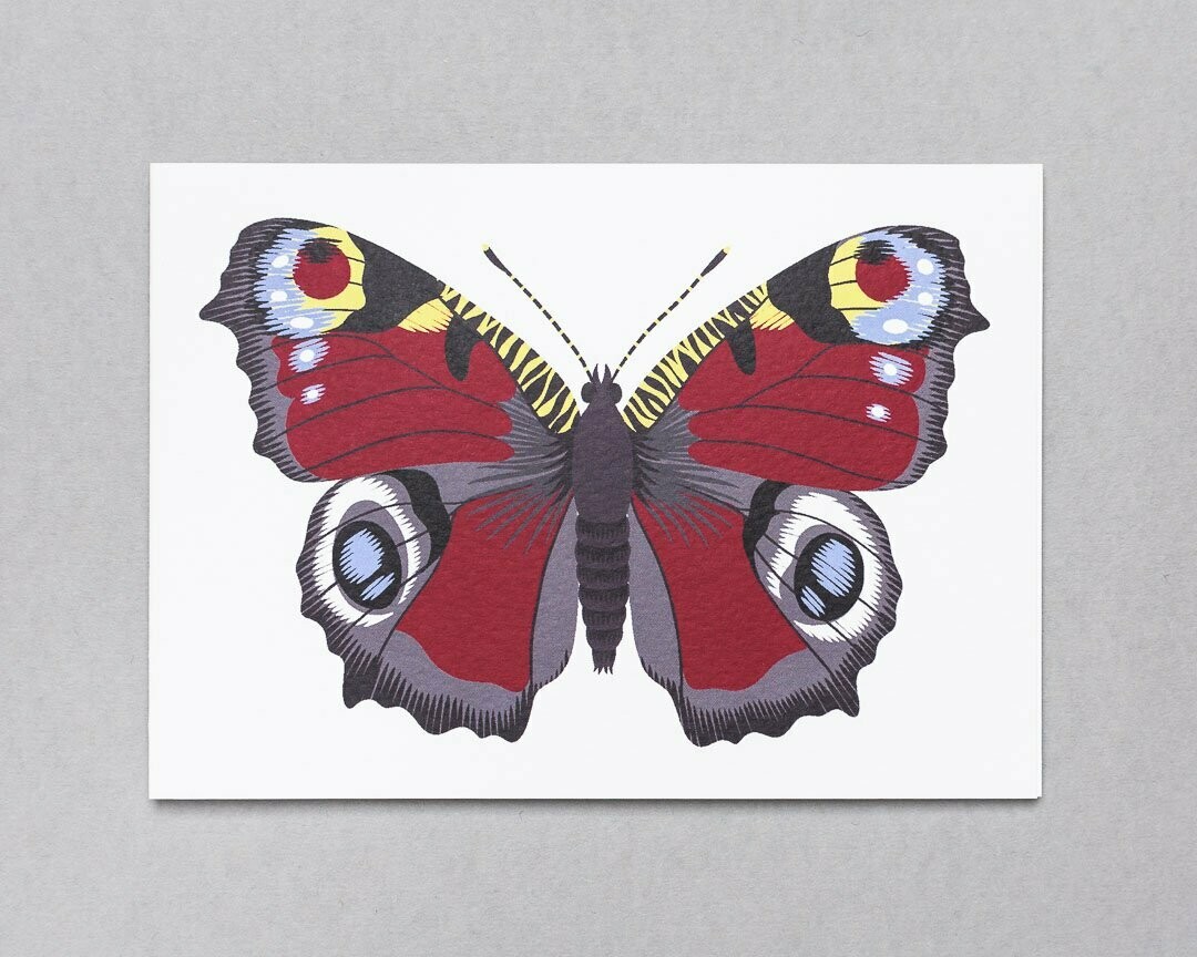 Peacock butterfly greeting card
