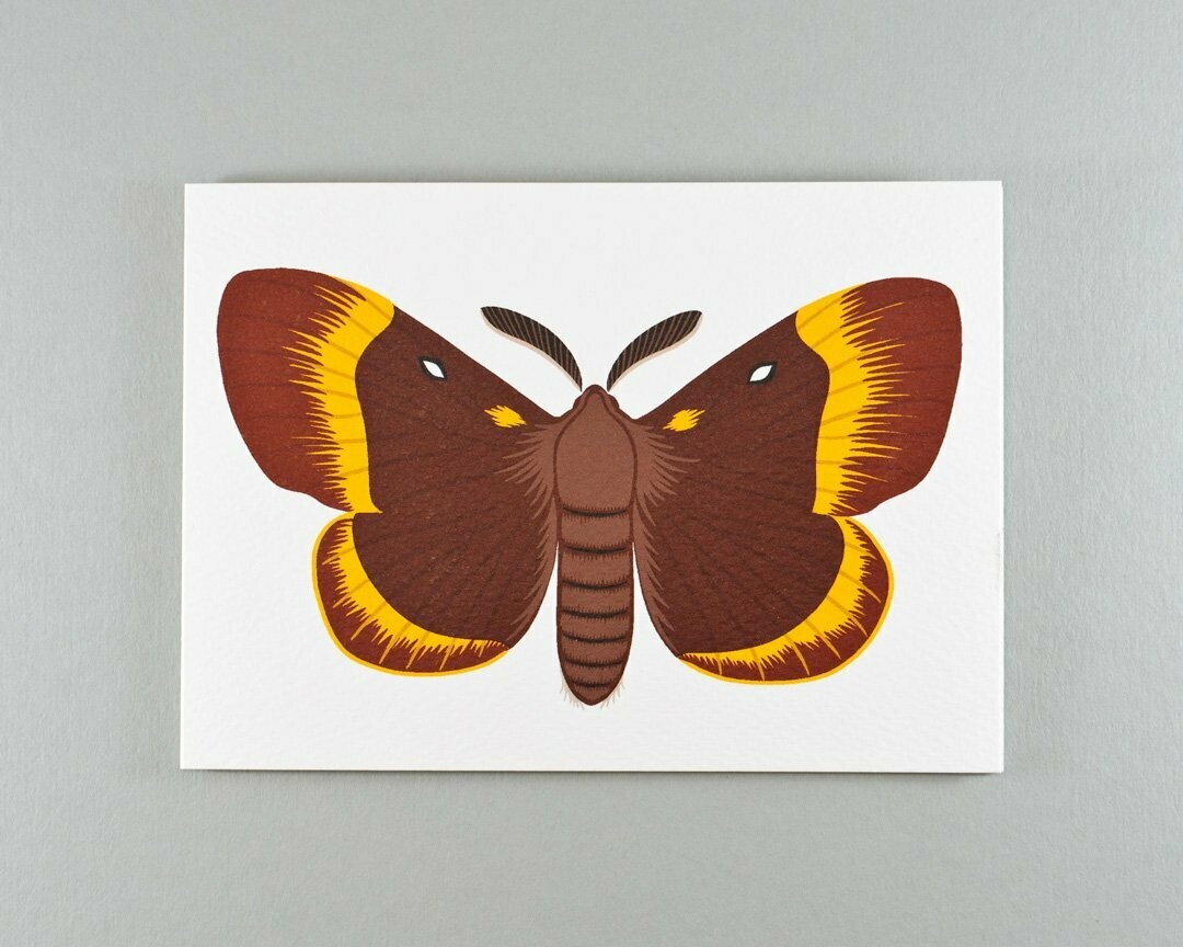 Oak Eggar moth greeting card